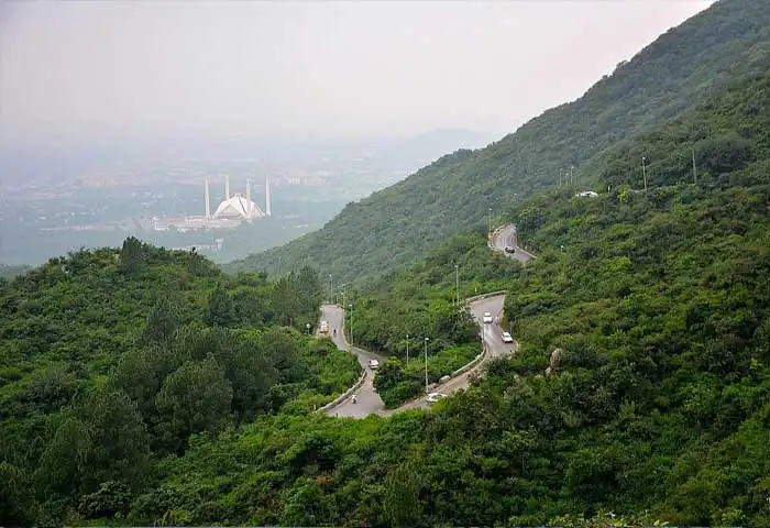  Volunteers planting trees during the Margalla Hills tree plantation drive by CDA.